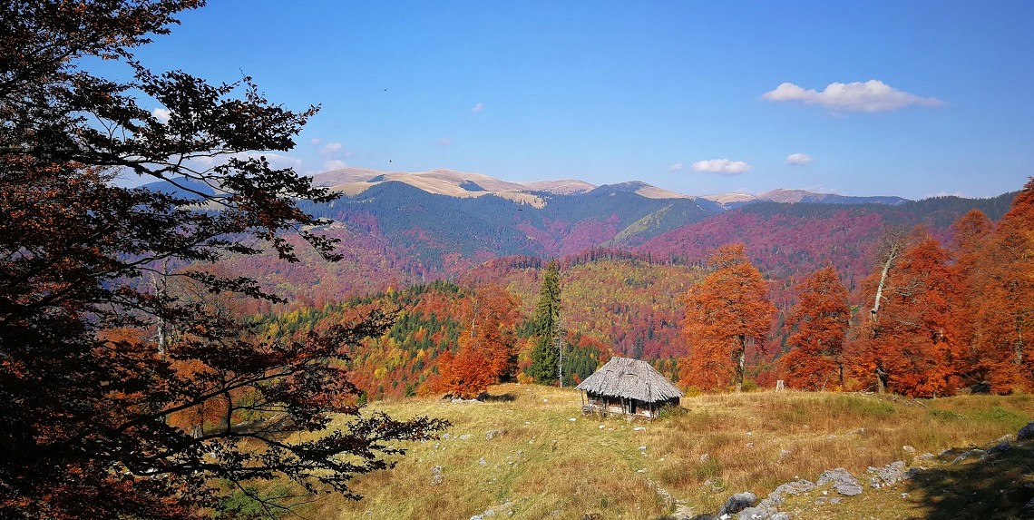 Dosul Builei