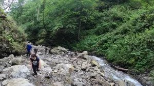 Ucare pe drumul accidentat