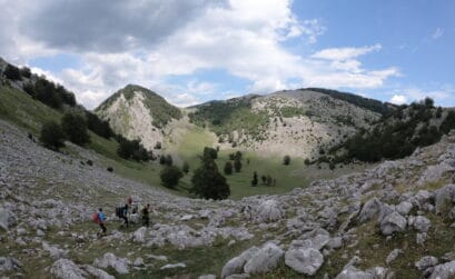 Crovul Mare