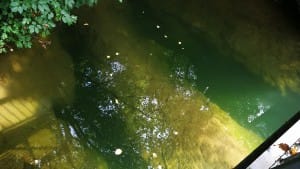 Aachtopf - probabil tunelurile apei