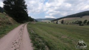 Forestierul spre Furtwagen