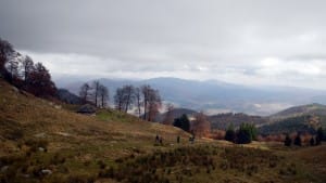 Stâna Mocirle - Cozia