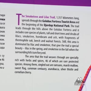 Panou informativ - cetatea Golubac