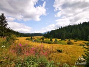 Deschidere pe Valea Frumoasei