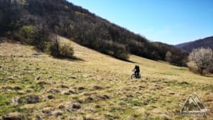 Ieșirea din pădure