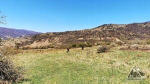 Pedalăm prin iarbă