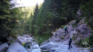 Lanțuri pe cursul Latoriței