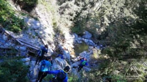 Urmând cursul Latoriței