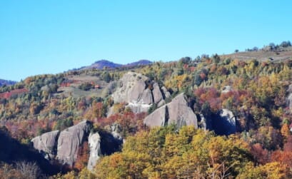 Poiana Suliței