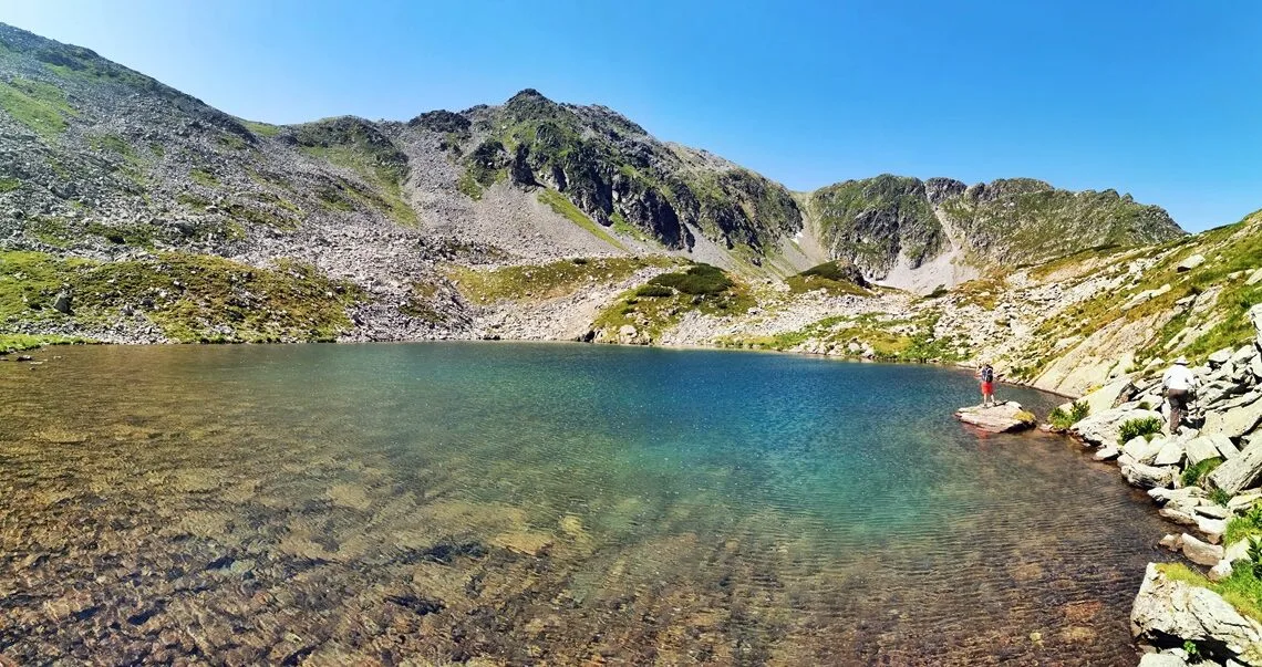 Tăurile Custurii