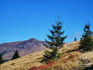 Vârful Păpușa (2136m) - simbolul Râncii