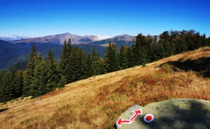 Traseu Parc Aventura Rânca