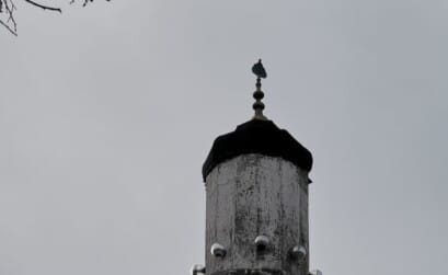 Moscheea Osman Pazvantoglu, Vidin