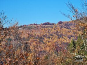 Zoom spre Poiana Suliței