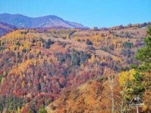 Poiana Suliței văzută de pe vf. Doabra