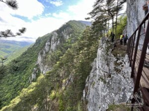 Puntea Veche, Baile Herculane