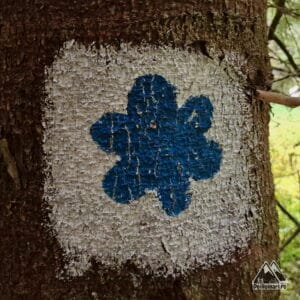 Marcajul pe Scocul Iarului