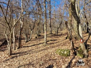 Început abrupt de traseu