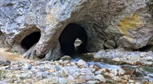 Nările